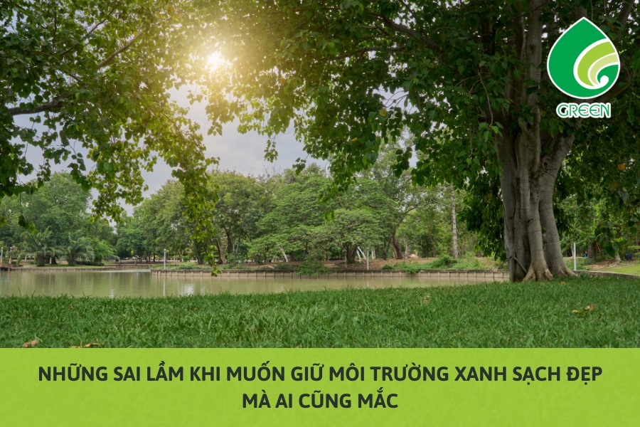 Những Sai Lầm Khi Muốn Giữ Môi Trường Xanh Sạch Đẹp Mà Ai Cũng Mắc