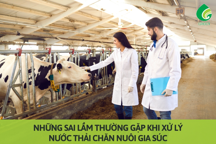Những Sai Lầm Thường Gặp Khi Xử Lý Nước Thải Chăn Nuôi Gia Súc