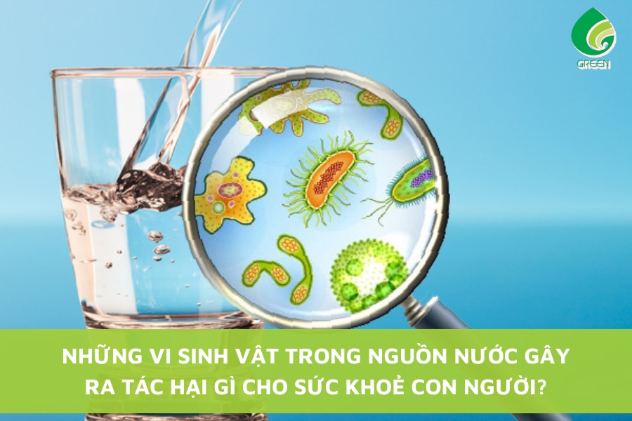 Những Vi Sinh Vật Trong Nguồn Nước Gây Ra Tác Hại Gì Cho Sức Khoẻ Con Người?