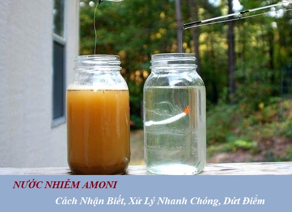 Nước Nhiễm Amoni: Cách Nhận Biết, Xử Lý Nhanh Chóng, Dứt Điểm