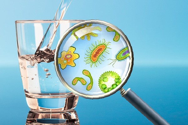 Nước Nhiễm Khuẩn Cần Làm Gì Để Chấm Dứt?