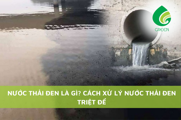 Nước Thải Đen Là Gì? Cách Xử Lý Nước Thải Đen Triệt Để