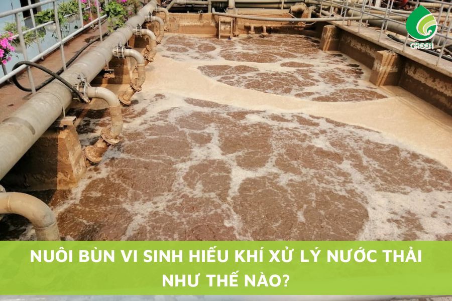 Nuôi Bùn Vi Sinh Hiếu Khí Xử Lý Nước Thải Như Thế Nào?