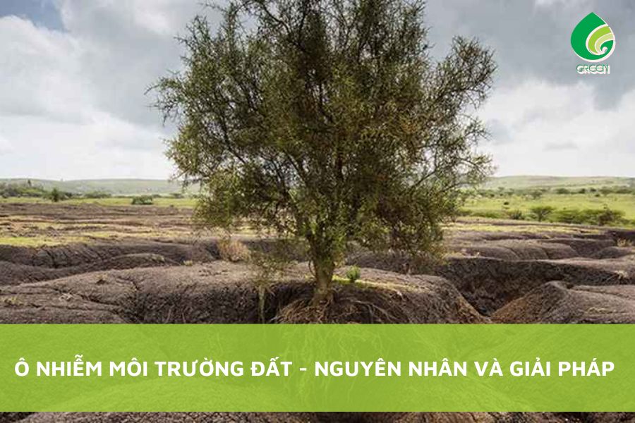 Ô Nhiễm Môi Trường Đất - Nguyên Nhân Và Giải Pháp