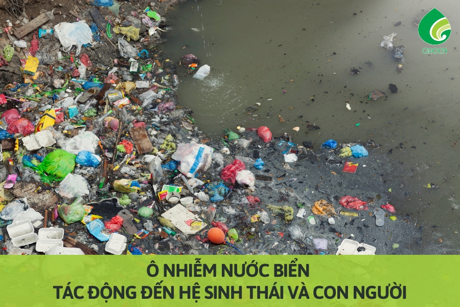 Ô Nhiễm Nước Biển: Tác Động Đến Hệ Sinh Thái và Con Người