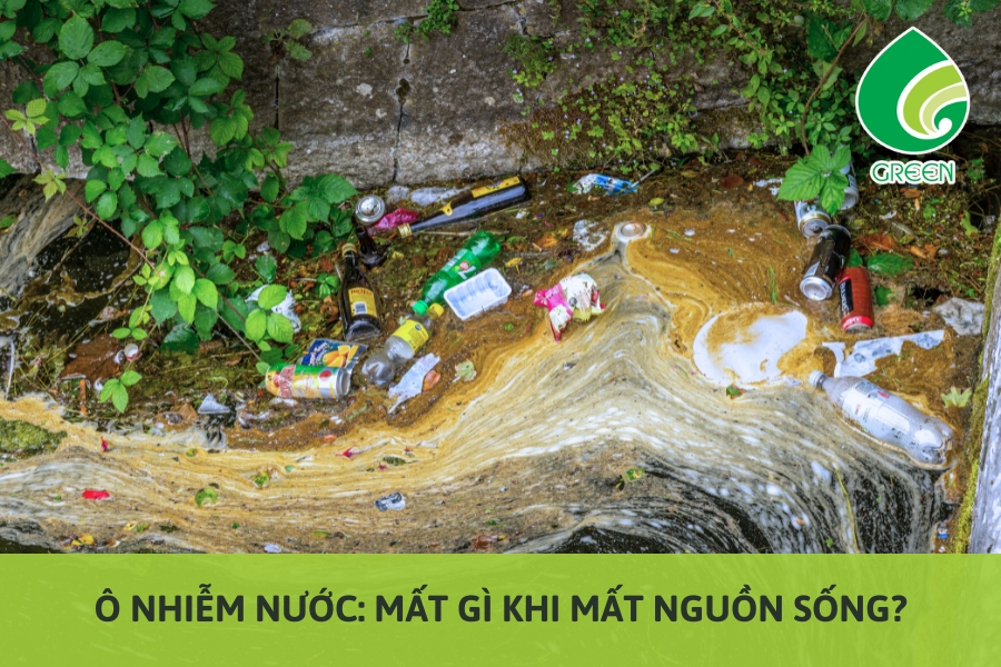 Ô Nhiễm Nước: Mất Gì Khi Mất Nguồn Sống?