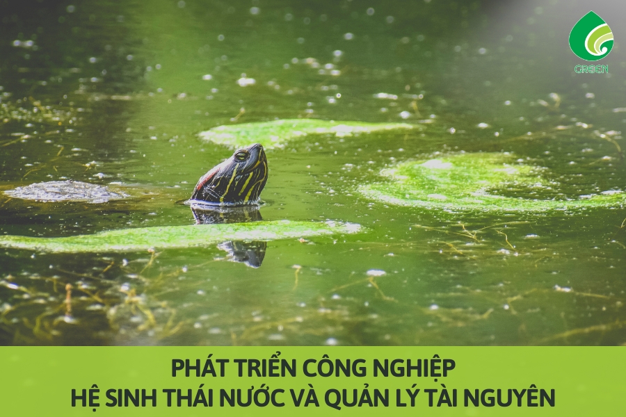 Phát Triển Công Nghiệp: Hệ Sinh Thái Nước Và Quản Lý Tài Nguyên