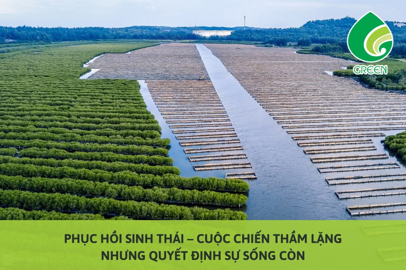 Phục Hồi Sinh Thái – Cuộc Chiến Thầm Lặng Nhưng Quyết Định Sự Sống Còn