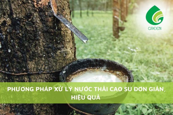 Phương Pháp Xử Lý Nước Thải Cao Su Đơn Giản, Hiệu Quả