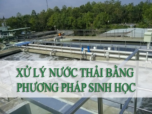 Phương Pháp Xử Lý Nước Thải Chăn Nuôi Phổ Biến Hiện Nay