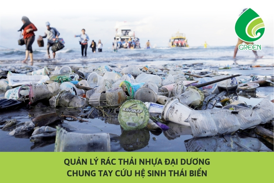 Quản Lý Rác Thải Nhựa Đại Dương: Chung Tay Cứu Hệ Sinh Thái Biển