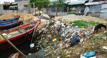 Ngạt thở vì cơ sở chế biến thủy sản gây ô nhiễm tại Bình Định