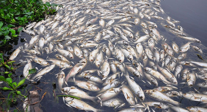 Vấn đề xử lý nước thải ở Việt Nam là một thách thức thực sự?