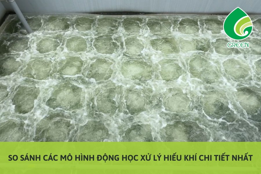 So Sánh Các Mô Hình Động Học Xử Lý Hiếu Khí Chi Tiết Nhất