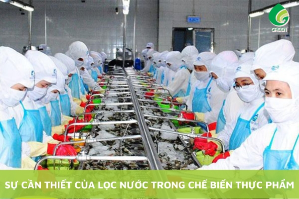 Sự Cần Thiết Của Lọc Nước Trong Chế Biến Thực Phẩm