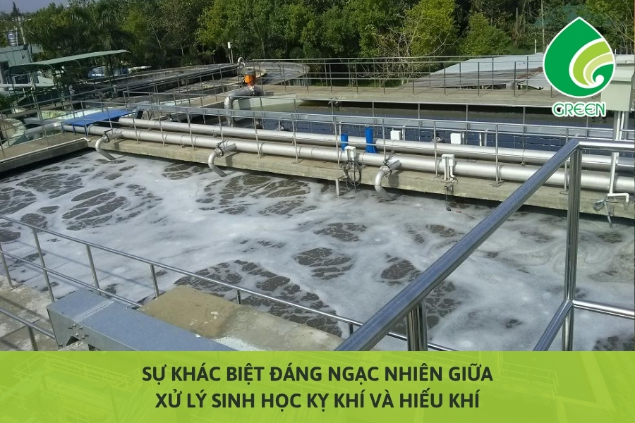 Sự Khác Biệt Đáng Ngạc Nhiên Giữa Xử Lý Sinh Học Kỵ Khí Và Hiếu Khí