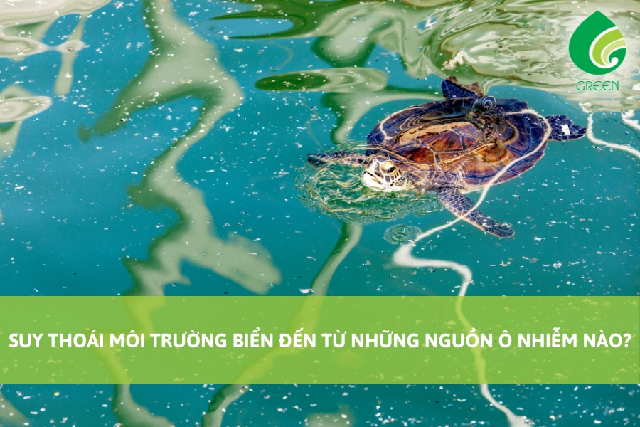 Suy Thoái Môi Trường Biển Đến Từ Những Nguồn Ô Nhiễm Nào?