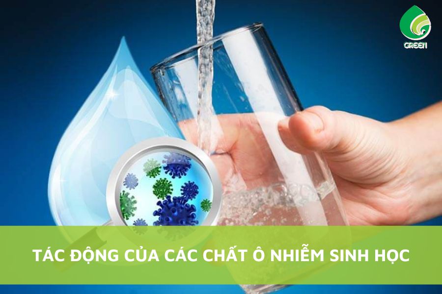Tác Động Của Các Chất Ô Nhiễm Sinh Học
