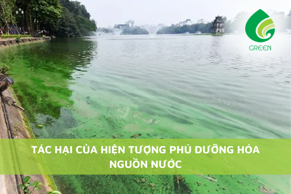 Tác Hại Của Hiện Tượng Phú Dưỡng Hóa Nguồn Nước