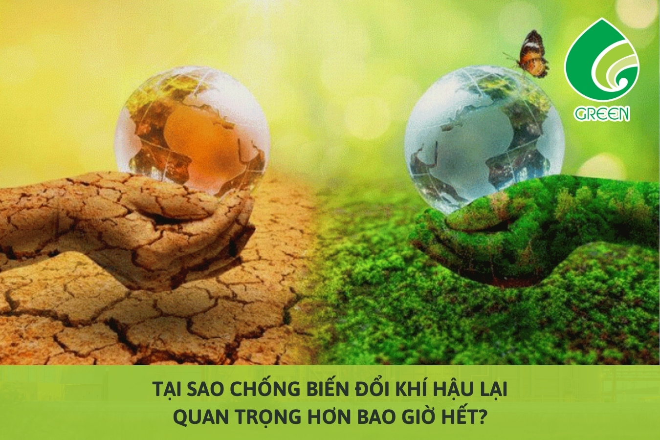 Tại Sao Chống Biến Đổi Khí Hậu Lại Quan Trọng Hơn Bao Giờ Hết?