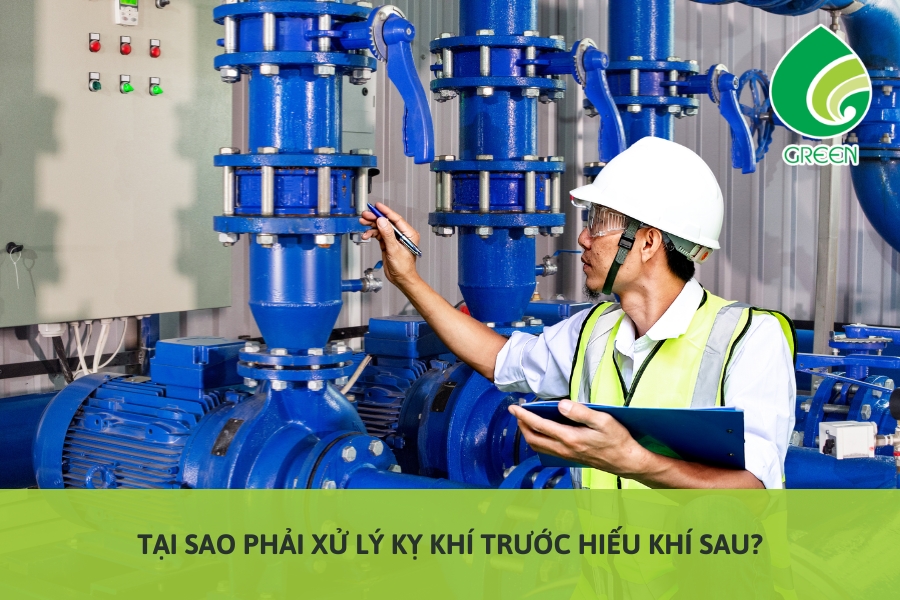 Tại Sao Phải Xử Lý Kỵ Khí Trước Hiếu Khí Sau?