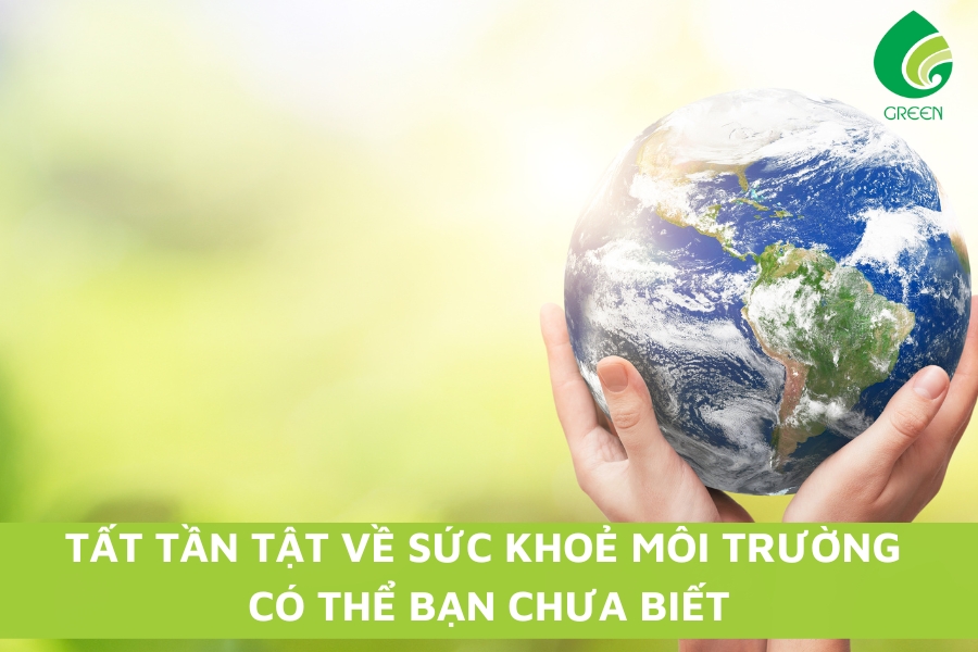 Tất Tần Tật Về Sức Khoẻ Môi Trường Có Thể Bạn Chưa Biết