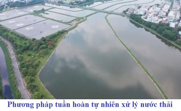 Thông Tin Cần Biết Về Phương Pháp Tuần Hoàn Tự Nhiên Xử Lý Nước Thải