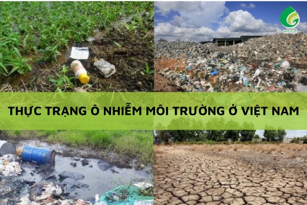 Thực Trạng Ô Nhiễm Môi Trường Ở Việt Nam Hiện Nay