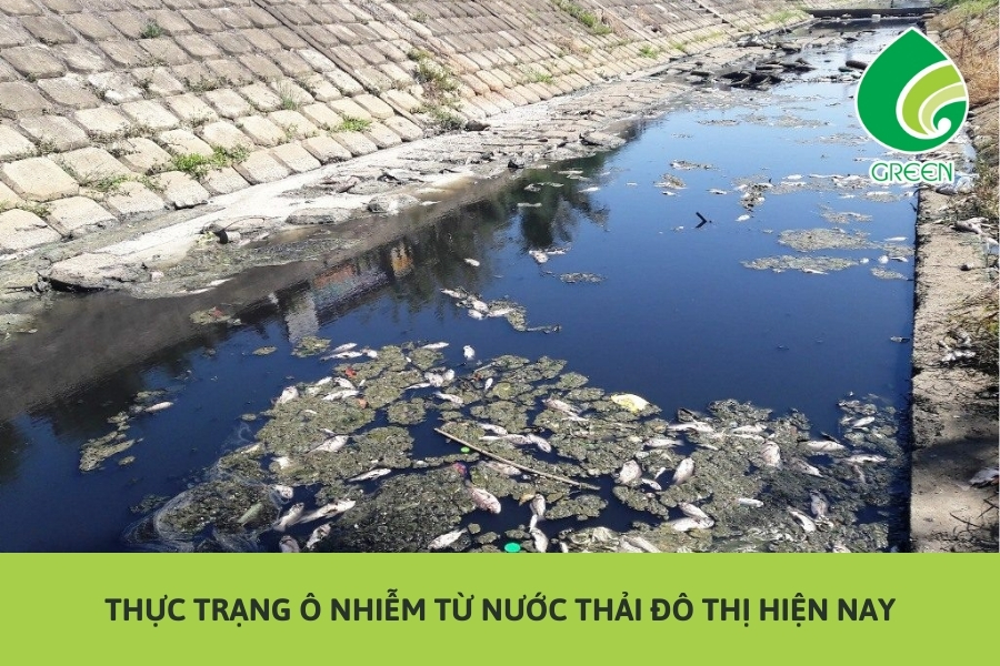 Thực Trạng Ô Nhiễm Từ Nước Thải Đô Thị Hiện Nay