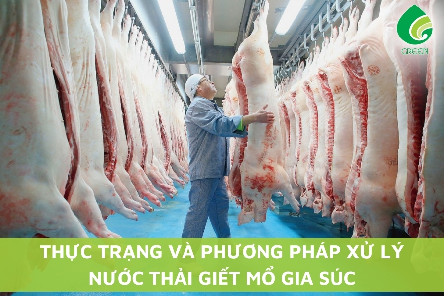 Thực Trạng Và Phương Pháp Xử Lý Nước Thải Giết Mổ Gia Súc