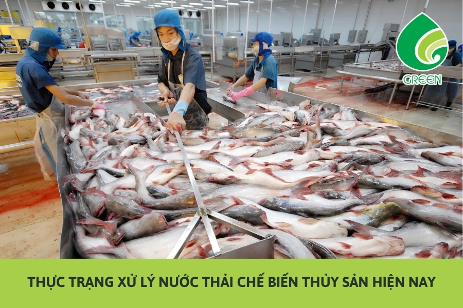 Thực Trạng Xử Lý Nước Thải Chế Biến Thủy Sản Hiện Nay
