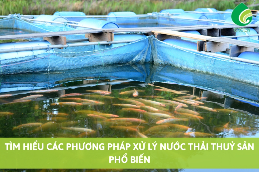 Tìm Hiểu Các Phương Pháp Xử Lý Nước Thải Thuỷ Sản Phổ Biến