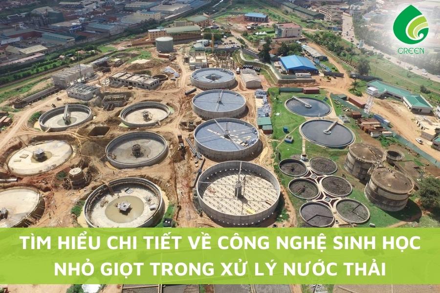 Tìm Hiểu Chi Tiết Về Công Nghệ Lọc Sinh Học Nhỏ Giọt Trong Xử Lý Nước Thải