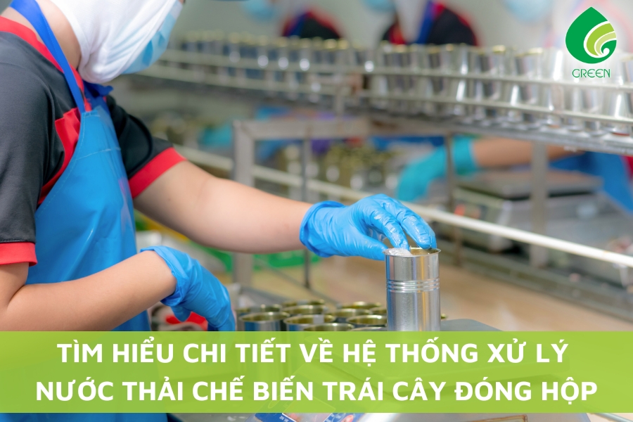 Tìm Hiểu Chi Tiết Về Hệ Thống Xử Lý Nước Thải Chế Biến Trái Cây Đóng Hộp