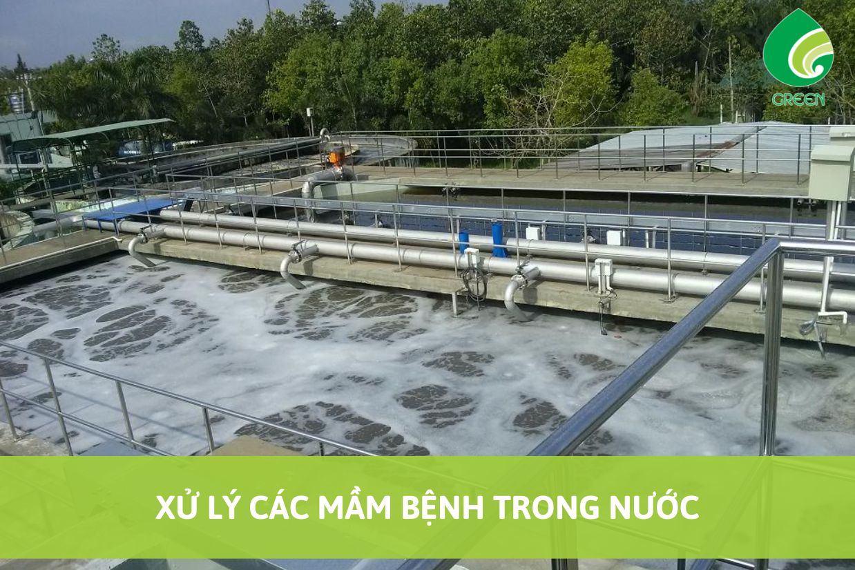 Các Mầm Bệnh Trong Nước Và Cách Xử Lý
