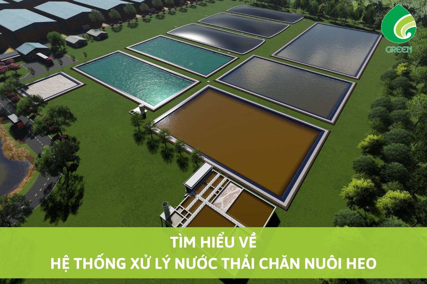 Tìm Hiểu Về Hệ Thống Xử Lý Nước Thải Chăn Nuôi Heo