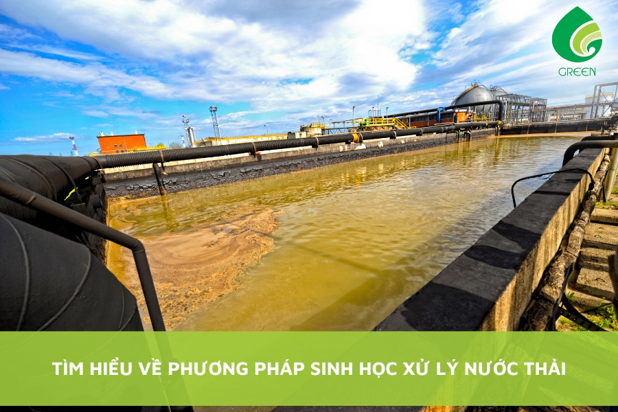 Tìm Hiểu Về Phương Pháp Sinh Học Xử Lý Nước Thải