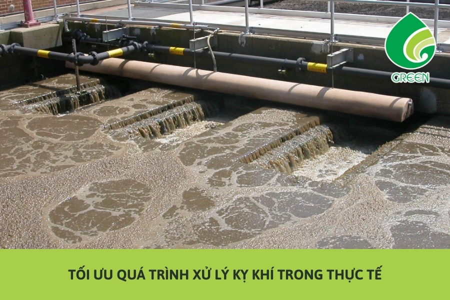 Tối Ưu Quá Trình Xử Lý Kỵ Khí Trong Thực Tế
