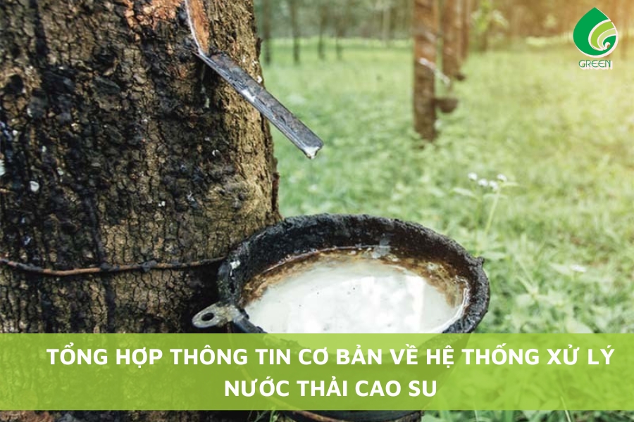 Tổng Hợp Thông Tin Cơ Bản Về Hệ Thống Xử Lý Nước Thải Cao Su