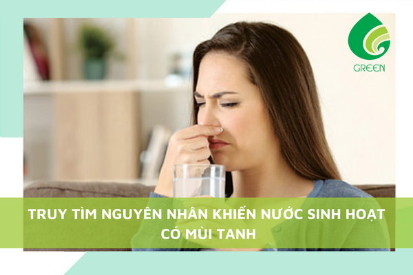 Truy Tìm Nguyên Nhân Khiến Nước Sinh Hoạt Có Mùi Tanh