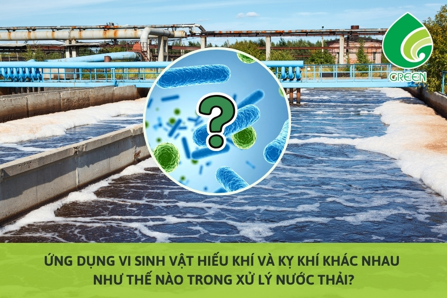 Ứng Dụng Vi Sinh Vật Hiếu Khí Và Kỵ Khí Khác Nhau Như Thế Nào Trong Xử Lý Nước Thải?