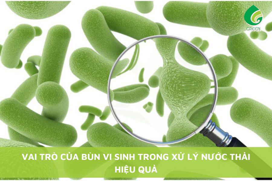 Vai Trò Của Bùn Vi Sinh Trong Xử Lý Nước Thải Hiệu Quả