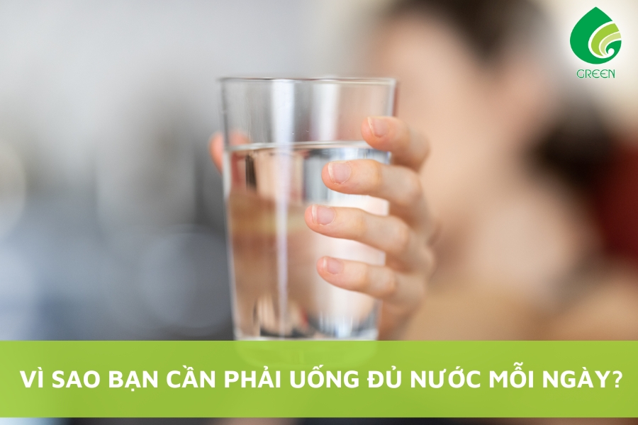 Vì Sao Bạn Cần Phải Uống Đủ Nước Mỗi Ngày?