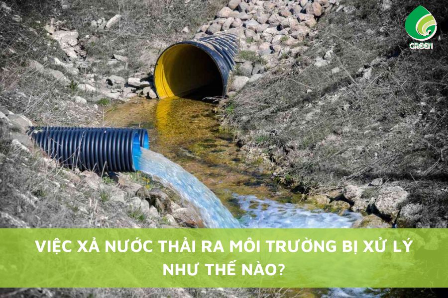 Việc Xả Nước Thải Ra Môi Trường Bị Xử Lý Như Thế Nào?
