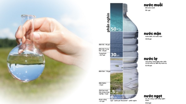 Xử Lý Nước Sinh Hoạt Nhiễm Mặn Đơn Giản, Hiệu Quả, Chi Phí Thấp