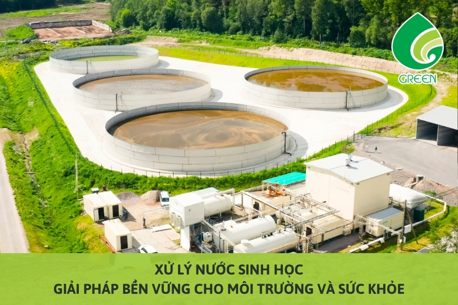 Xử Lý Nước Sinh Học: Giải Pháp Bền Vững Cho Môi Trường Và Sức Khỏe