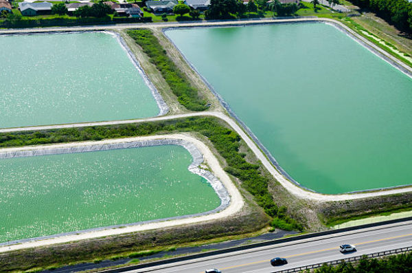 Xử Lý Nước Thải Bằng Hồ Sinh Học Đơn Giản, Hiệu Quả Cao