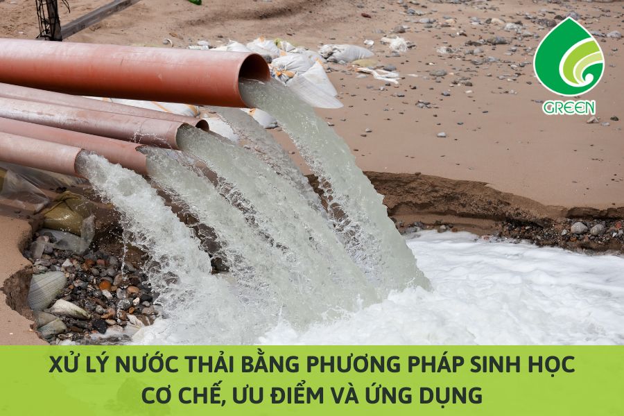 Xử Lý Nước Thải Bằng Phương Pháp Sinh Học: Cơ Chế, Ưu Điểm Và Ứng Dụng