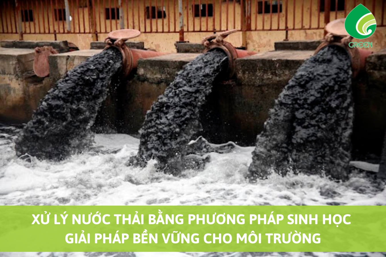 Xử Lý Nước Thải Bằng Phương Pháp Sinh Học - Giải Pháp Bền Vững Cho Môi Trường