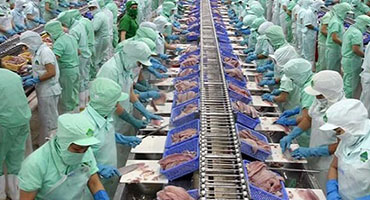 Các biện pháp xử lý nước thải chế biến thực phẩm hiện nay